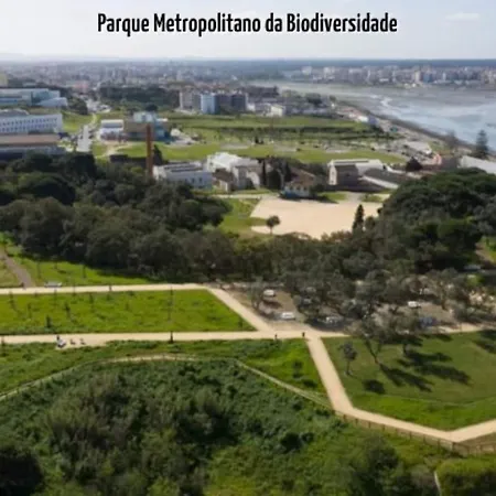 Dom wakacyjny Moradia Da Palmeira Com Piscina Fernao Ferro